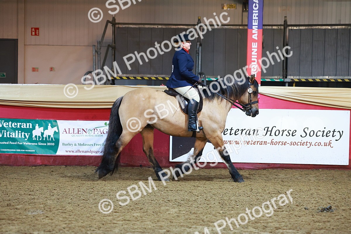 SBM_14814 - Class E - Best Turned Out Champ
