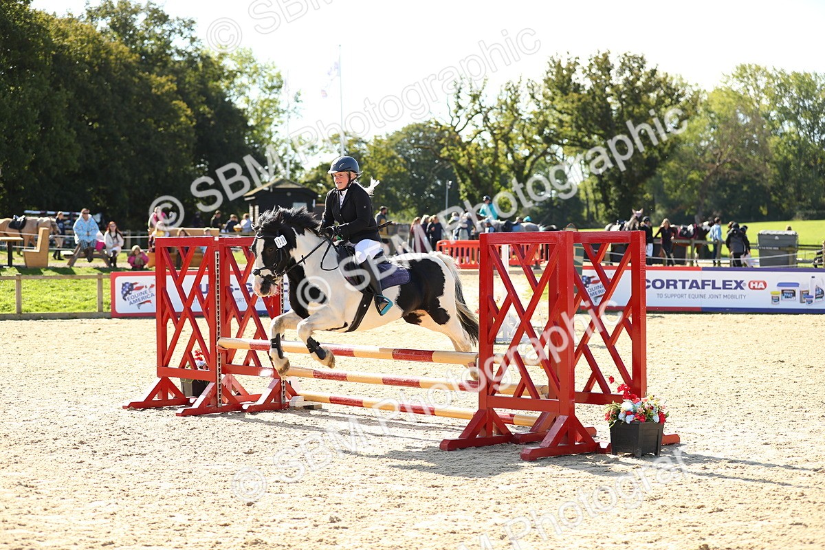 SBM_17721 - J33 - Senior 75cm Championship