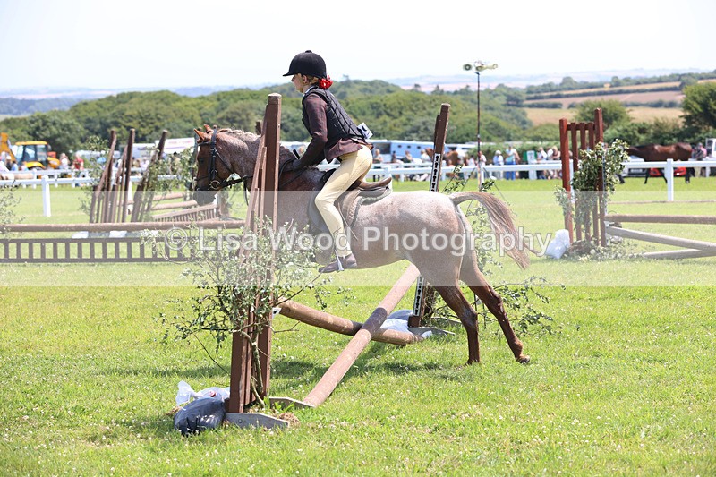 JPP_2434 - Class 21: Working Hunter 60cm