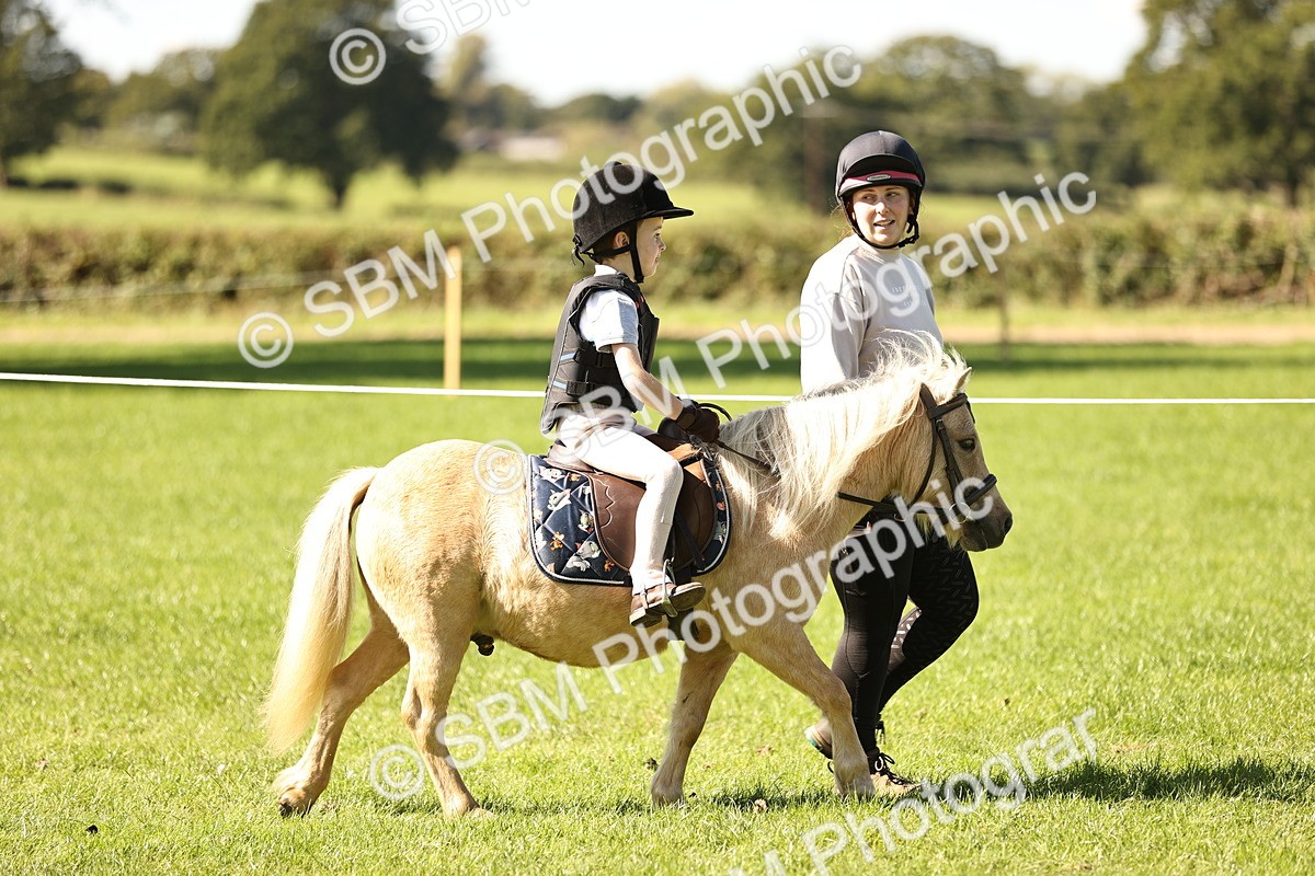 SBM_19206 - S3 - TSR Ridden Pony Showing