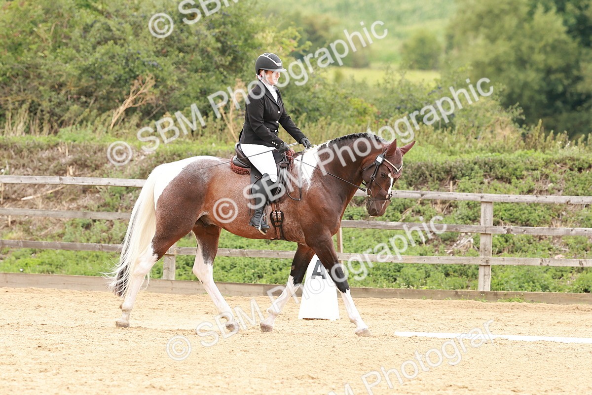 SBM_002747 - Novice 2