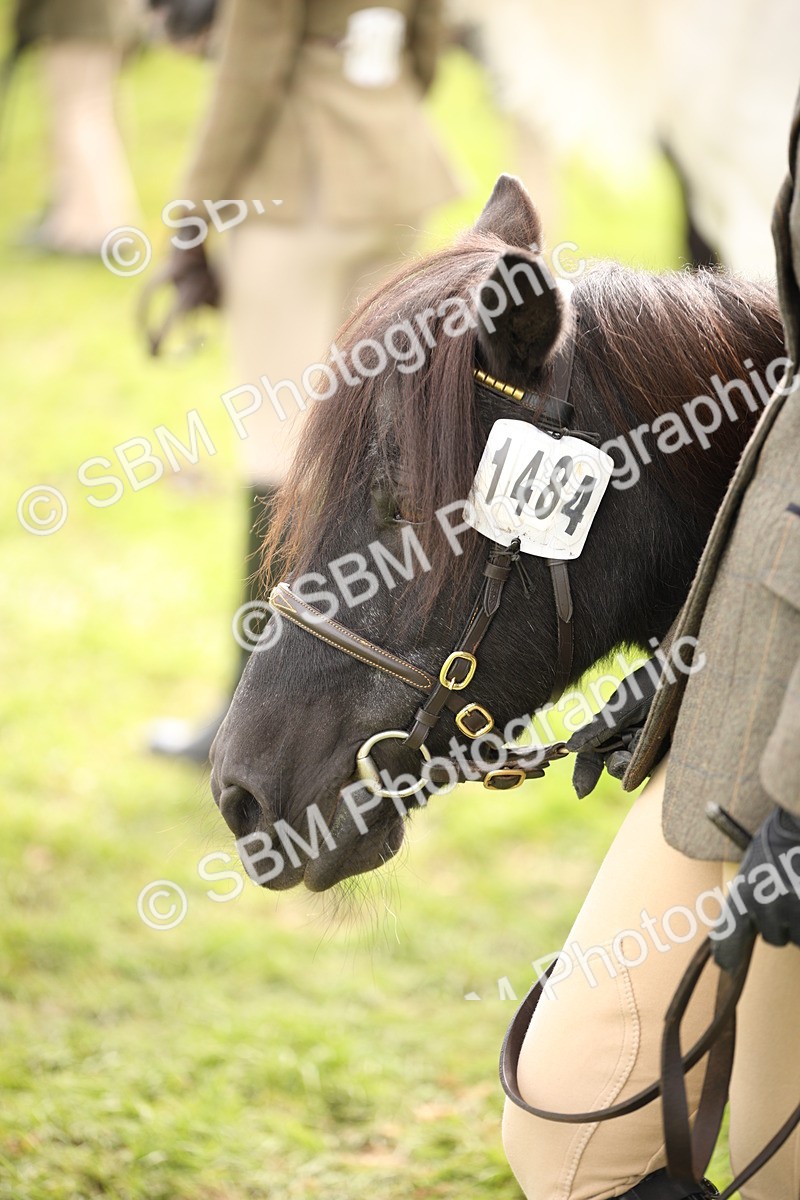 SBM_46389 - S25 - Mature Veteran In Hand