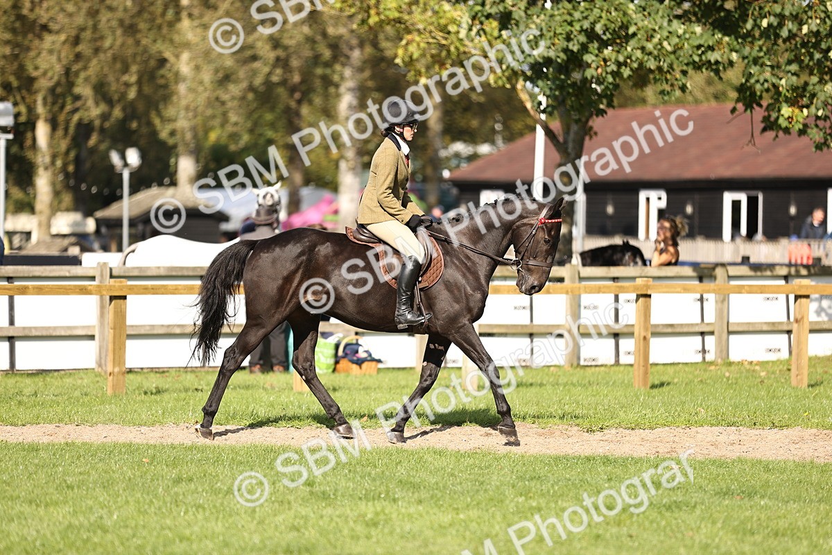 SBM_26326 - S6 - Novice & Newcomers Ridden Horse