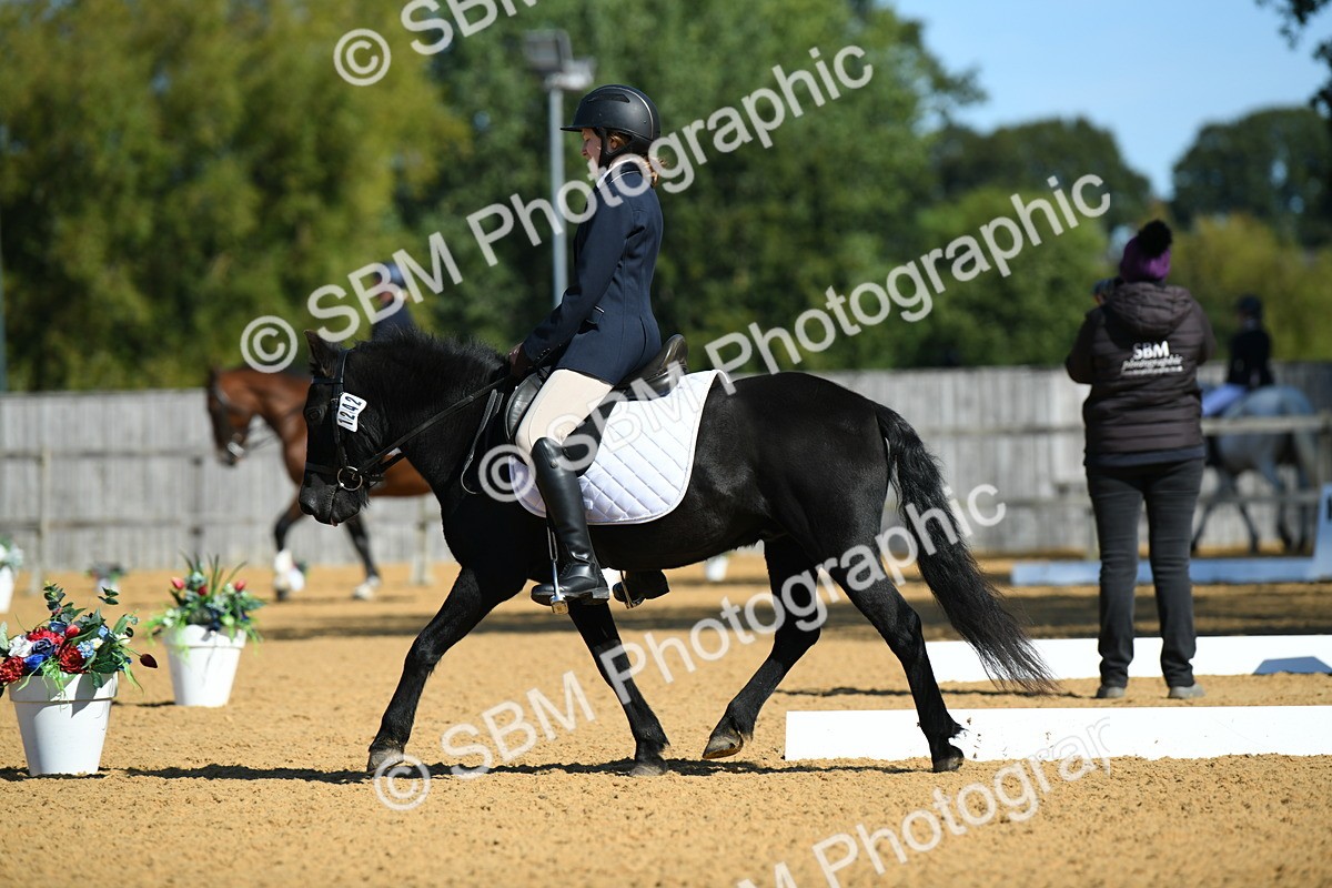 SBM_18175 - D4 - Small Tour Championship - Intro B