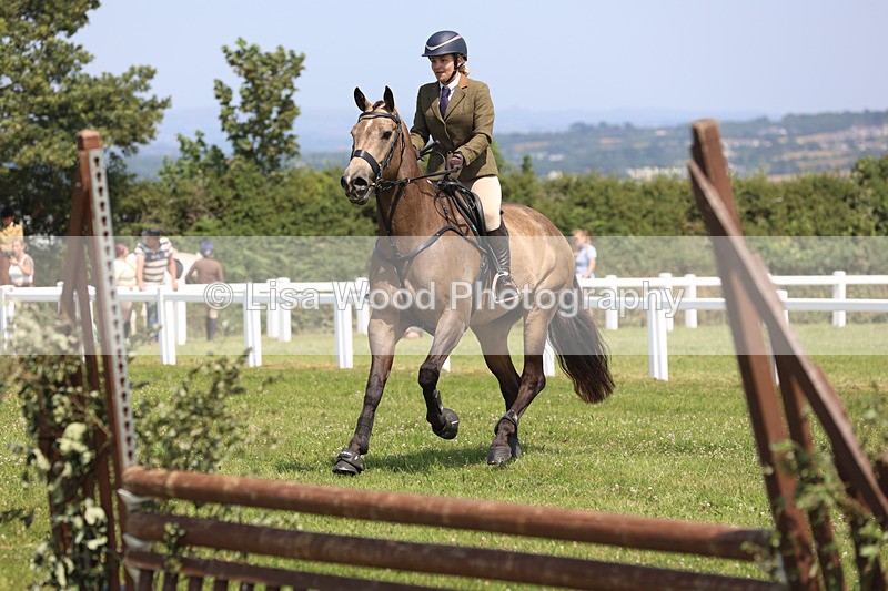 JPP_3131 - Class 22: Working Hunter 70cm