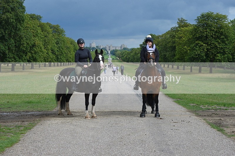 TT3_9198 - Time at Crossing 09:22 to 11:26