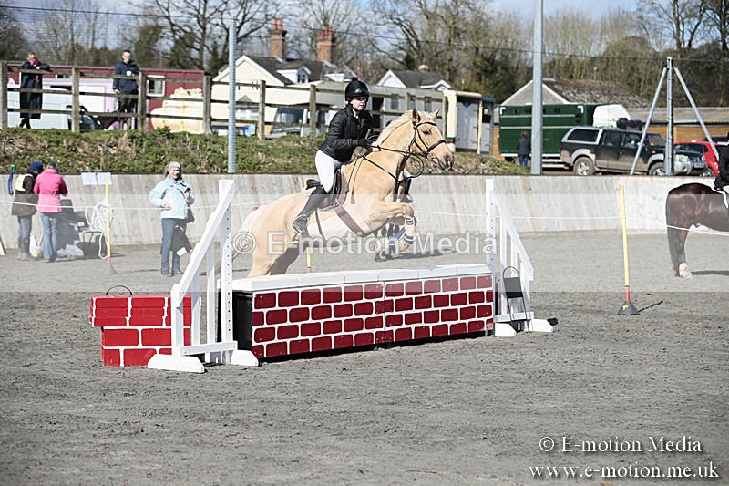 BVRC SJ 170319 262 - Bourne Valley Riding Club Showjumping 17/03/19
