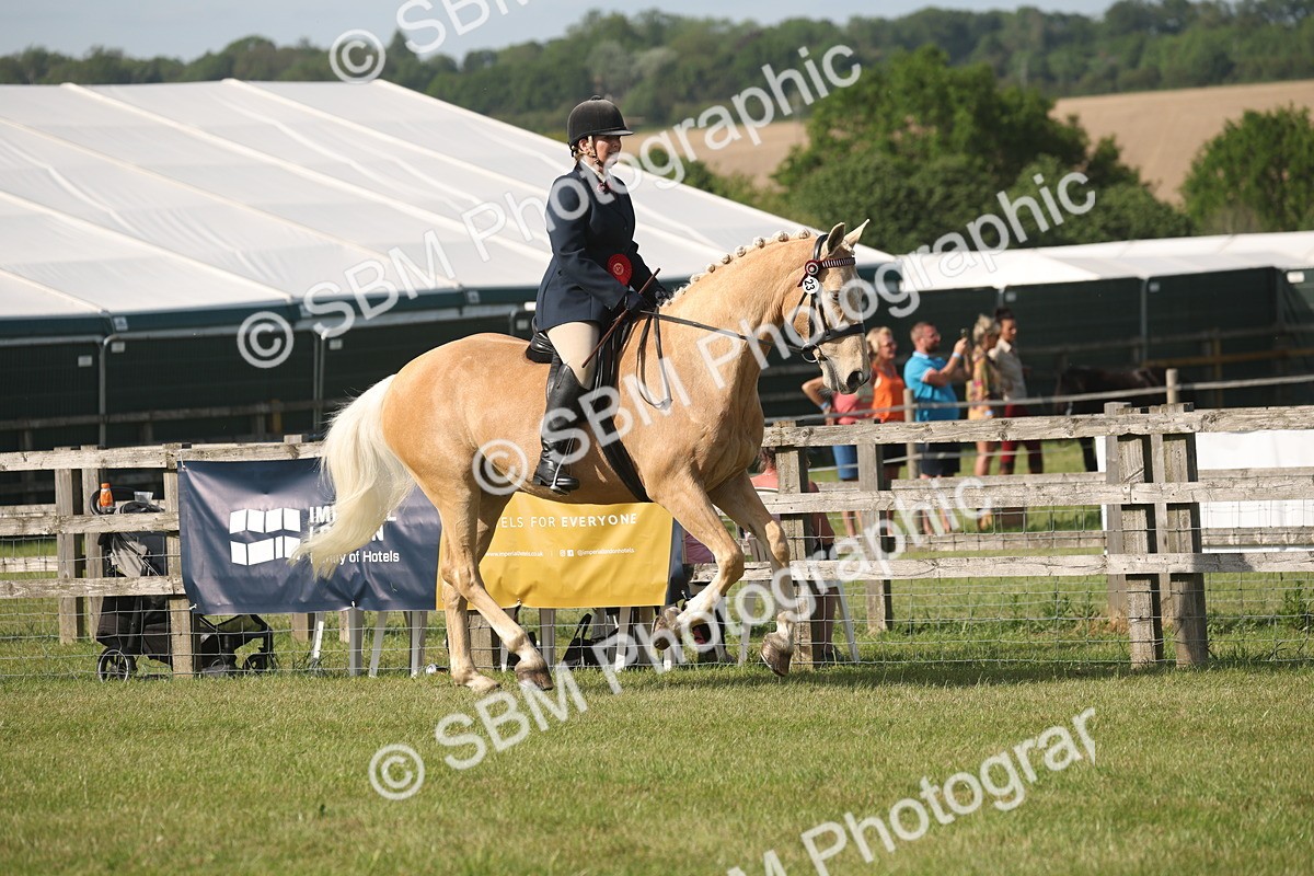 SBM_10245 - Class 33-38 - SSADL RIHS Qualifiers