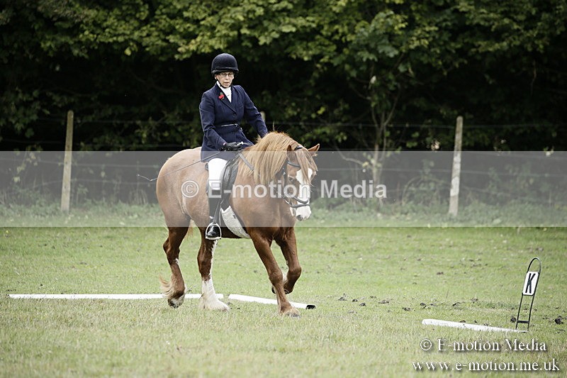 BVR080918 51 - BVRC Novice Dressage & CR 08/09/18