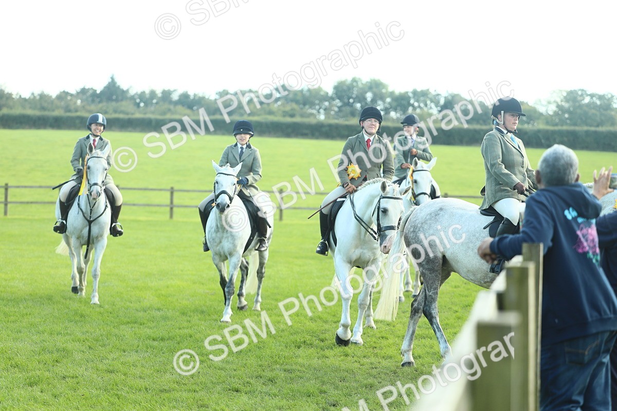 SBM_49959 - S32 - Novice & Newcomers Working Hunter