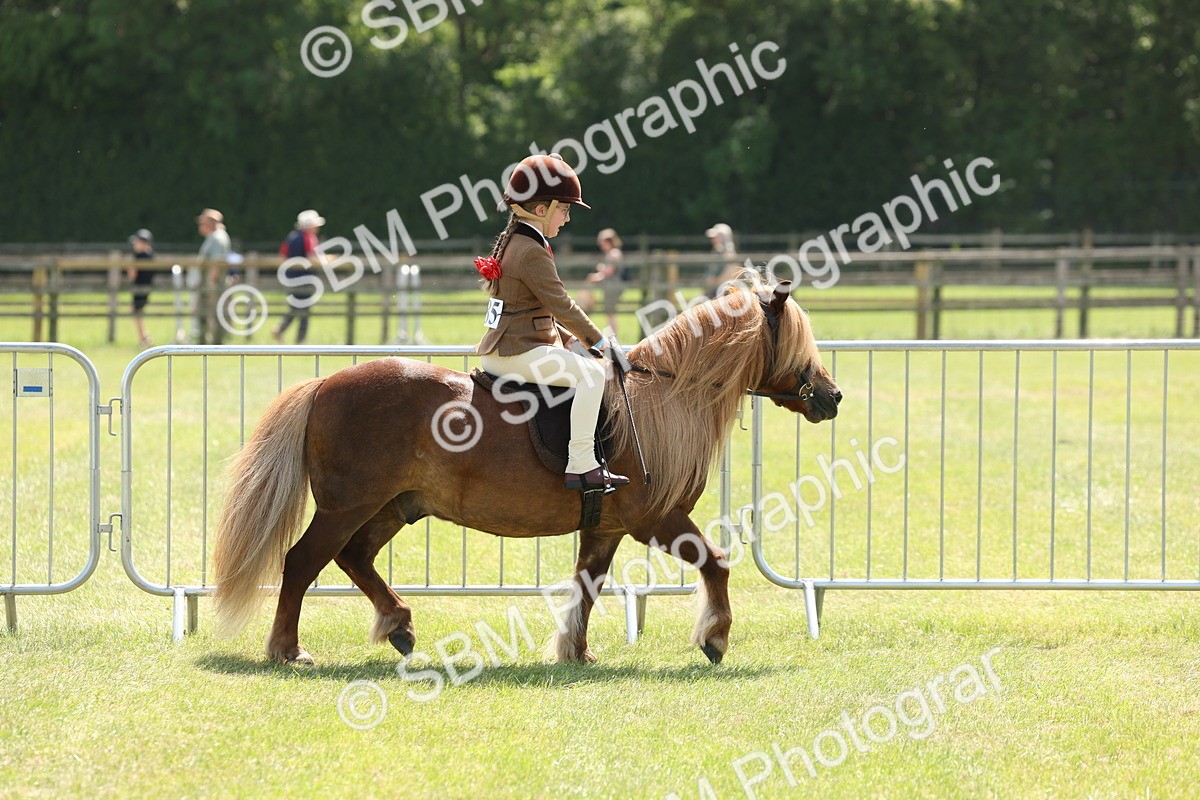SBM_05322 - Class 24-25 - Mountain & Moorland In Hand Lead Rein and First Ridden