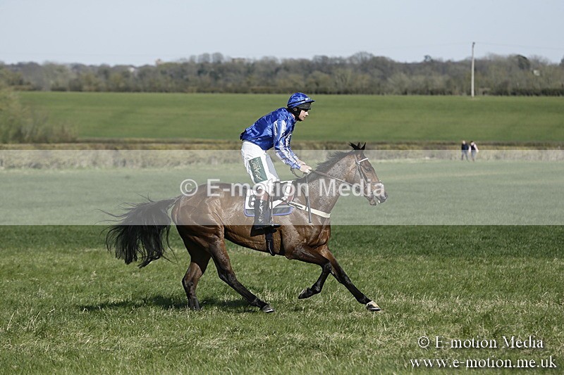 PtP 250317 244 - V.W.H. Hunt Point-to-Point Siddington 25/03/17