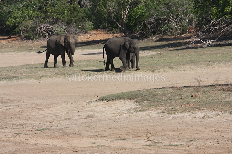  - Travel and culture