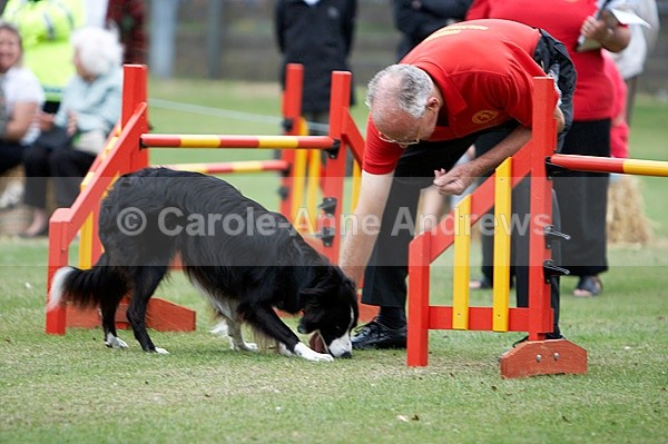  - Tendring Agility Group- St Osyth Summer Fete