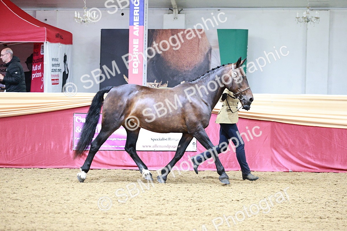 SBM_00914 - Class 2A - Area IH Veteran
