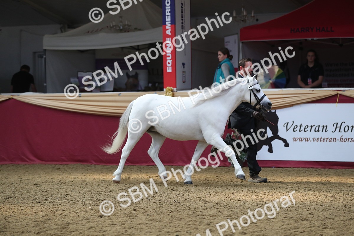 SBM_15281 - Class 501 M&M IH Supreme Final