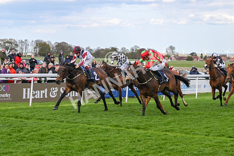 160425-Race 6-Nibras Gold-3806