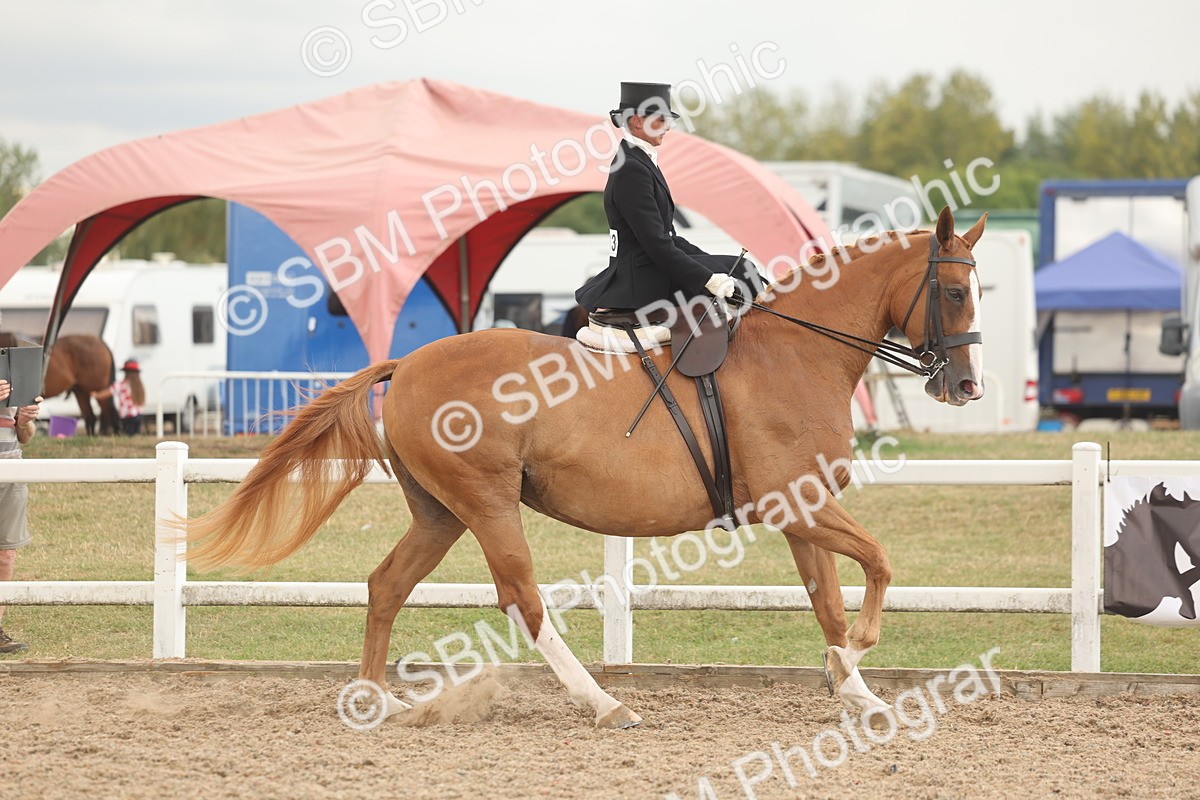 SBM_06322 - Class 23 - SSA - Classical