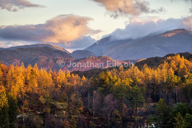 Views From Tarn Hows - Lake District
