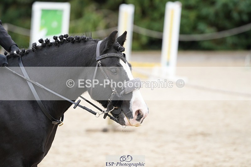 250820A-103513-02388 - Round 2, 9.45 to 10.45 Break