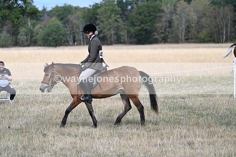WJ7_5810 - Class 13 Ridden Veterans