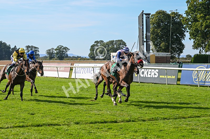 160924-Race 3-Moostar-2752 - Race 3