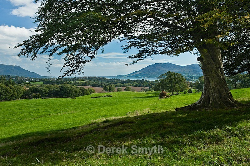 A Shady view of Carlingford Lough and Warrenpoint