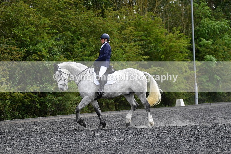 WJ5_2033 - Time 15:05 to 15:30