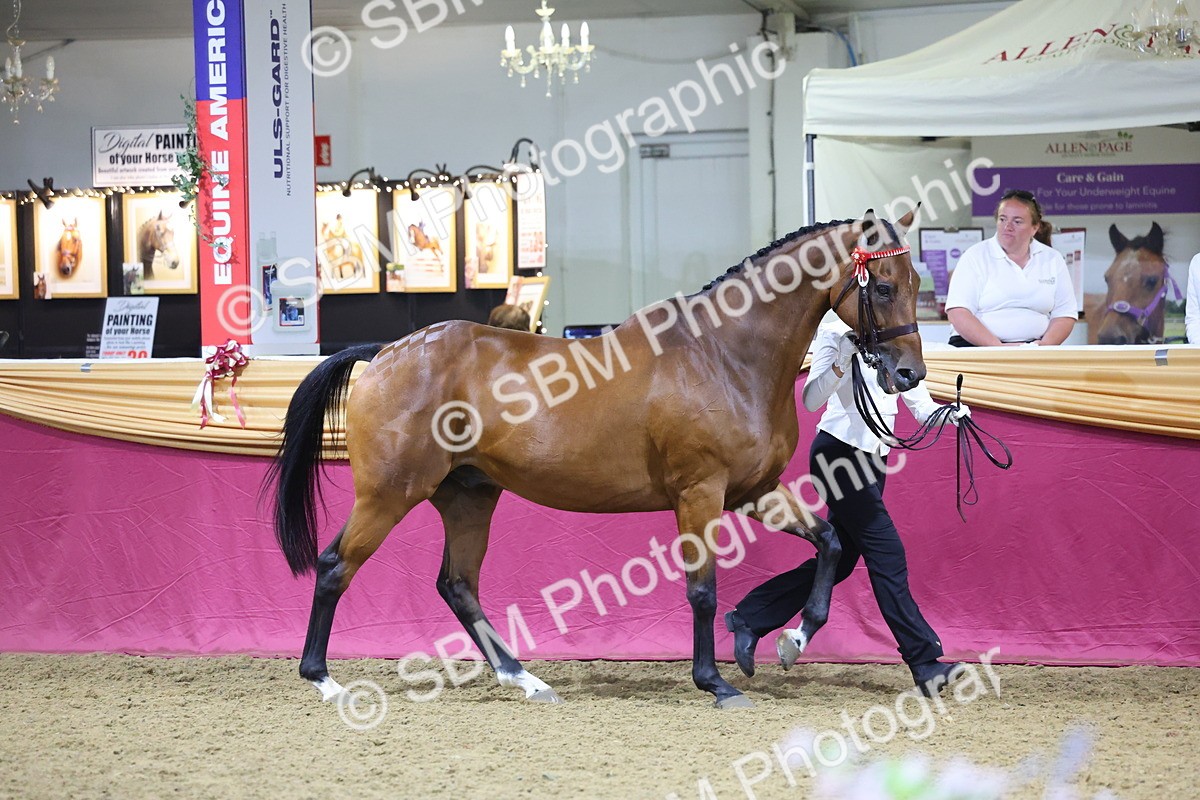 0B8A4545 - Class P Veteran Champ