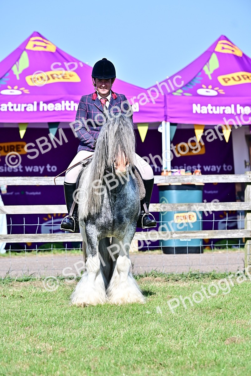 SBM_19443 - Class 101-102 - BSPS LIHS Performance Coloured Horse/Pony