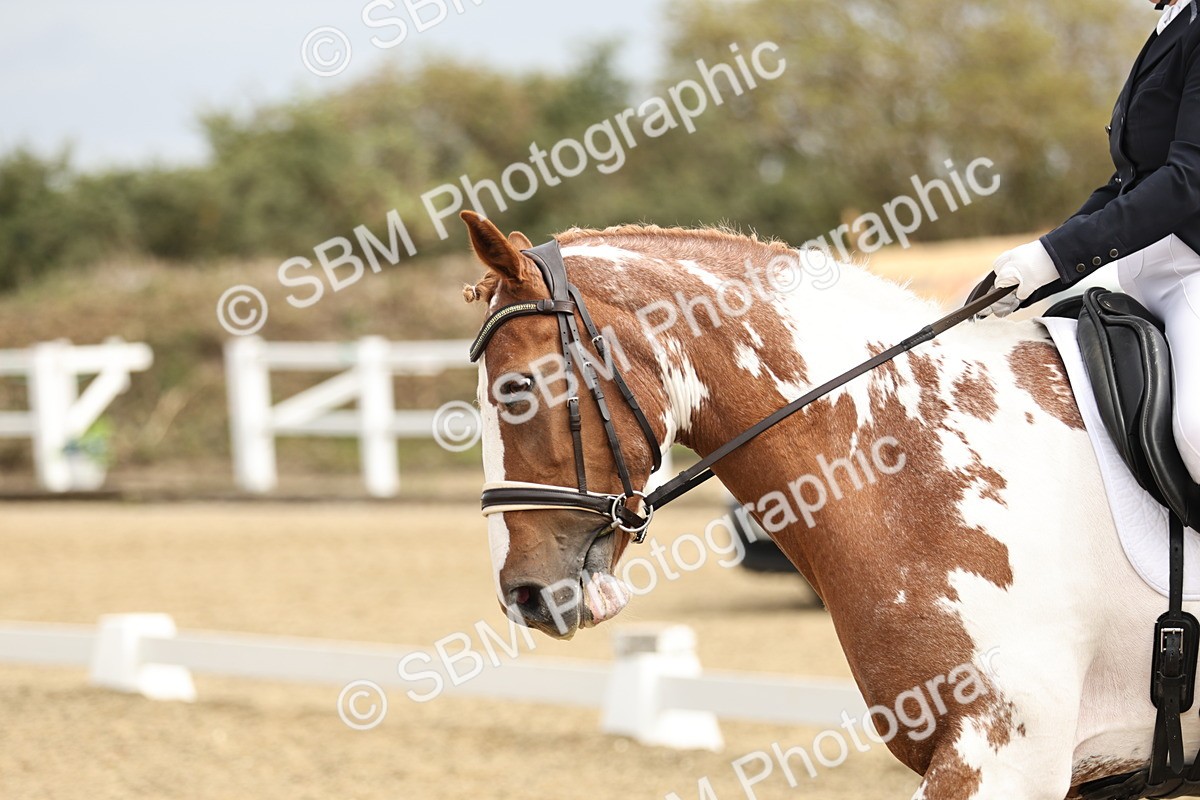 SBM_007319 - Class 25 - FEI PSG Bronze