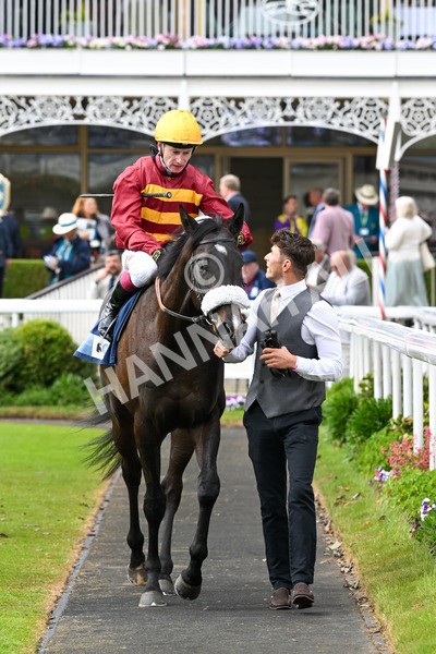 150525-Tropical Storm-4963 - Race 5 4.18pm British Stallion Studs EBF Westow Stakes