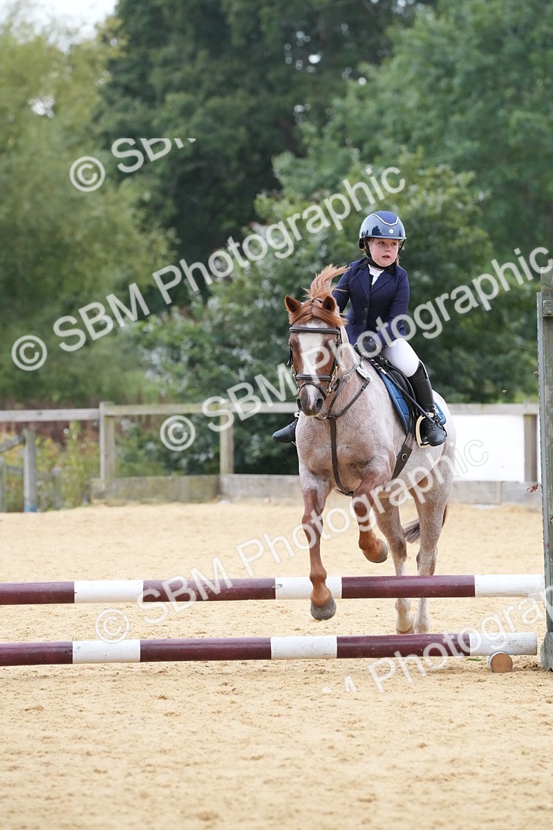 SBM_74520 - J4 - Mini Tour Junior Pony 45cm Championship