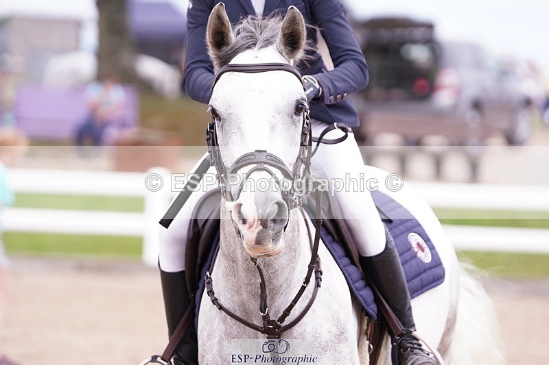 250629-150254-12771 - Cls 38 Pony Foxhunter and 1.10m Open