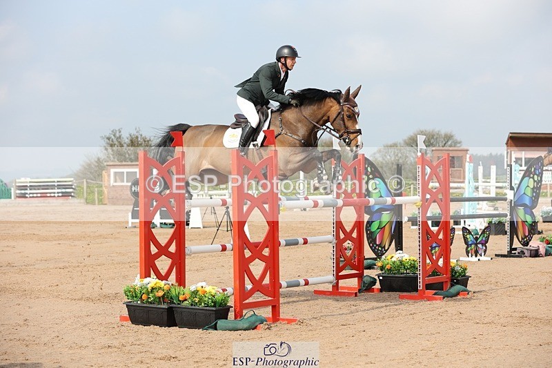 250424-103349-03093 - Cls 33 Young Horse 7yr old