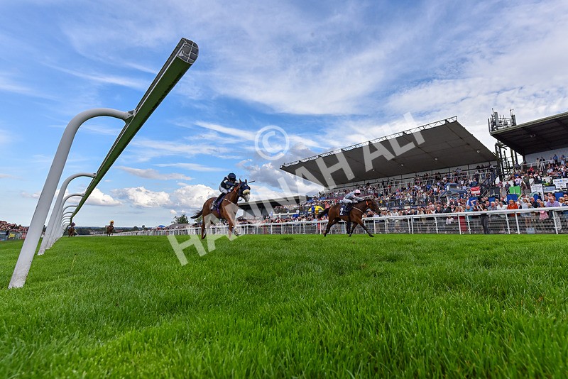 300826-Race 7-Marbuzet-6769 - Race 7 5.05pm Napoleons Casino And Restaurant Hull Apprentice Handicap