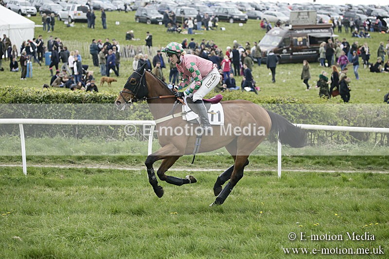 PtP 170417 491 - Old Berks Point-to-Point Lockinge 17/04/17