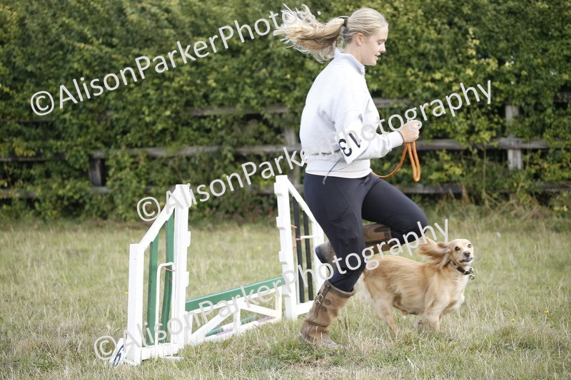 20250831-3869 - Dog Show