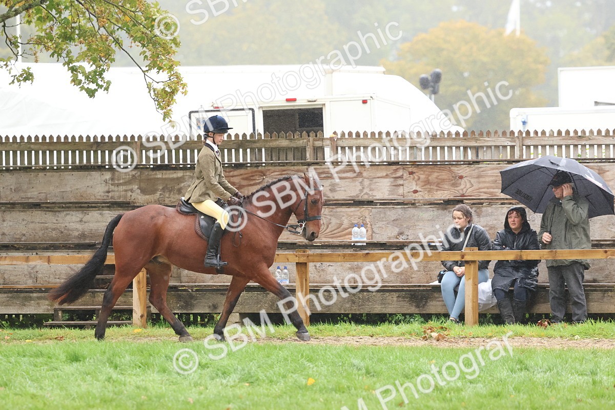 SBM_73013 - S63 Show Pony & Show Hunter Pony Ridden