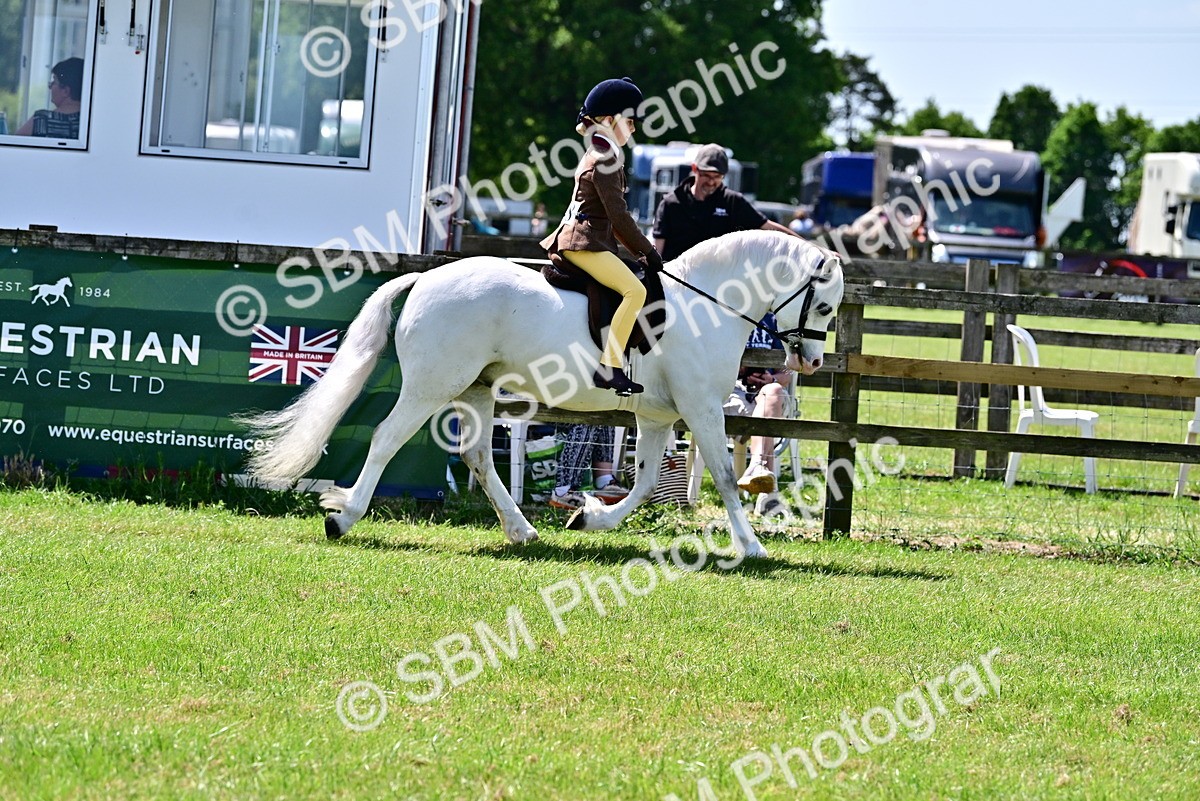 SBM_06028 - Class 59-60 - TSR M&M  Lear Rein and First Ridden Amateur of the year