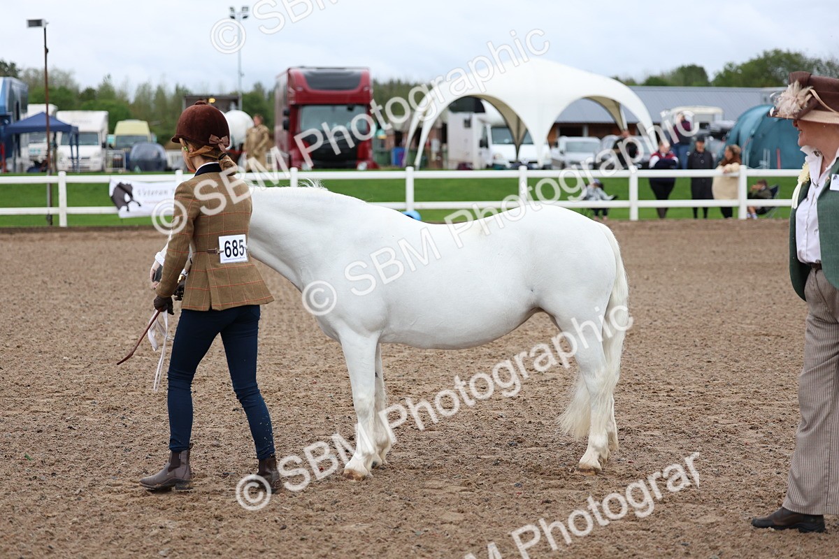 SBM_00248 - Class 13 - Young Handler