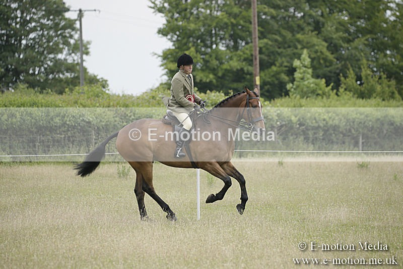 B230619-0969 - Bourne Valley Riding Club Summer Show 23/06/19