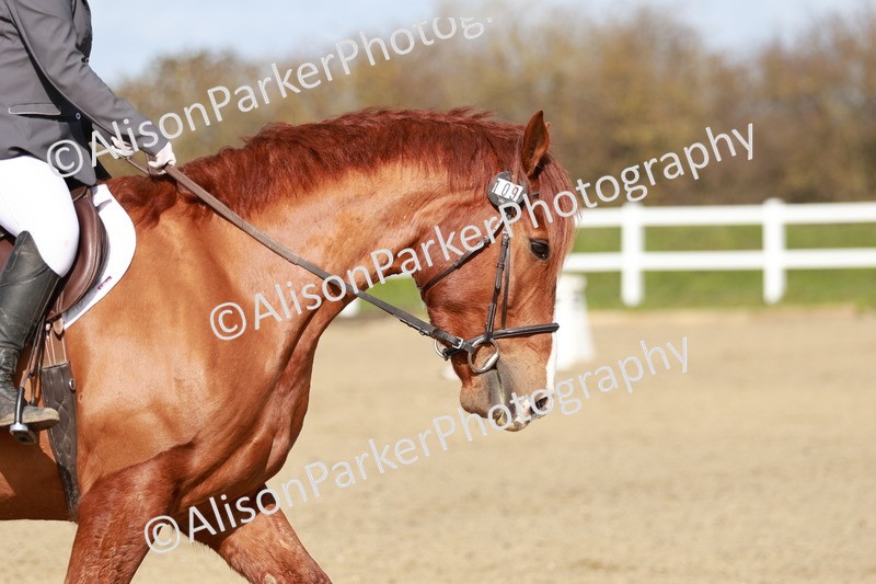 20260314-2831 - DR3 - Prelim 1