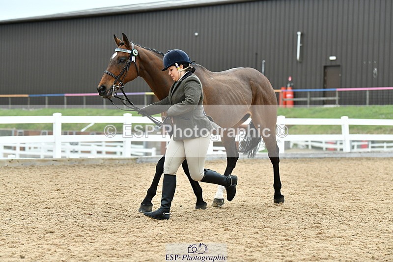 230416A-144316-05285 - Cls 64 Racehorse to Show Horse