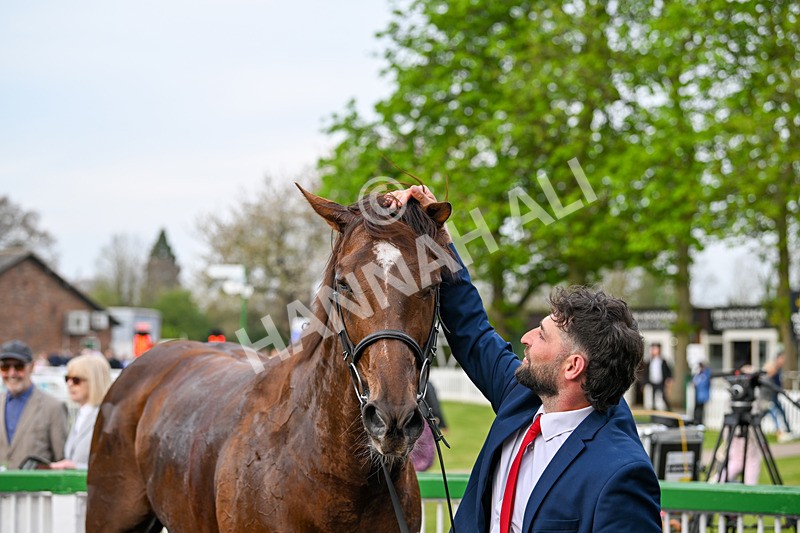 120425-Race 5-Majestic Warrior-1410 - Race 5