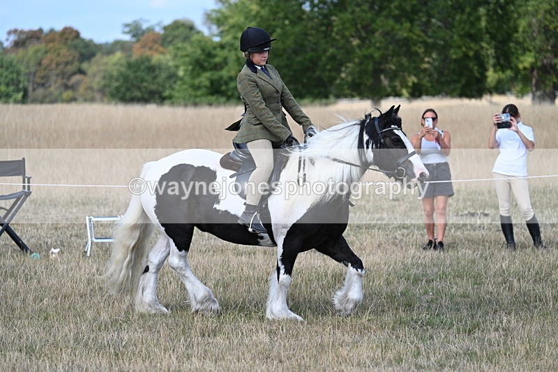 WJ7_6811 - Class 14 Ridden Coloured