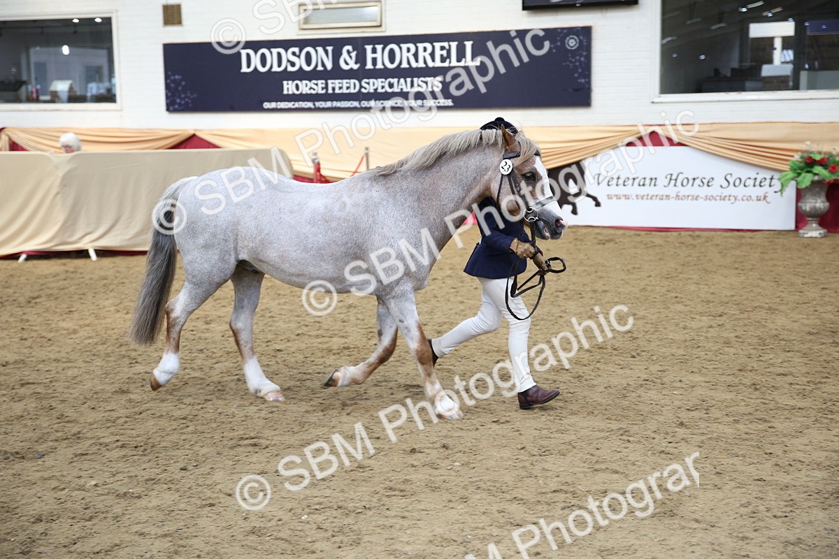 SBM_24266 - Class 905 - Supreme Final - Ridden Veteran