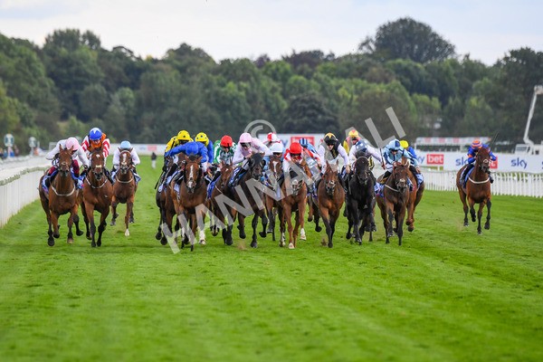 260823-Race 4-Absurde-0664 - Race 4 Sky Bet Ebor Handicap