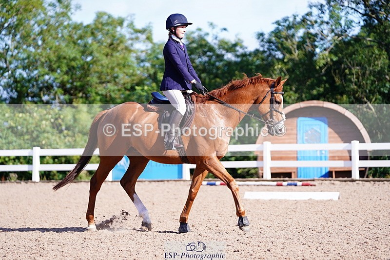 240809A-090458-00147 - Dressage Competition