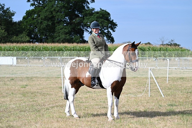 WJ7_2612 - Class 8 Ridden Tack & Turnout